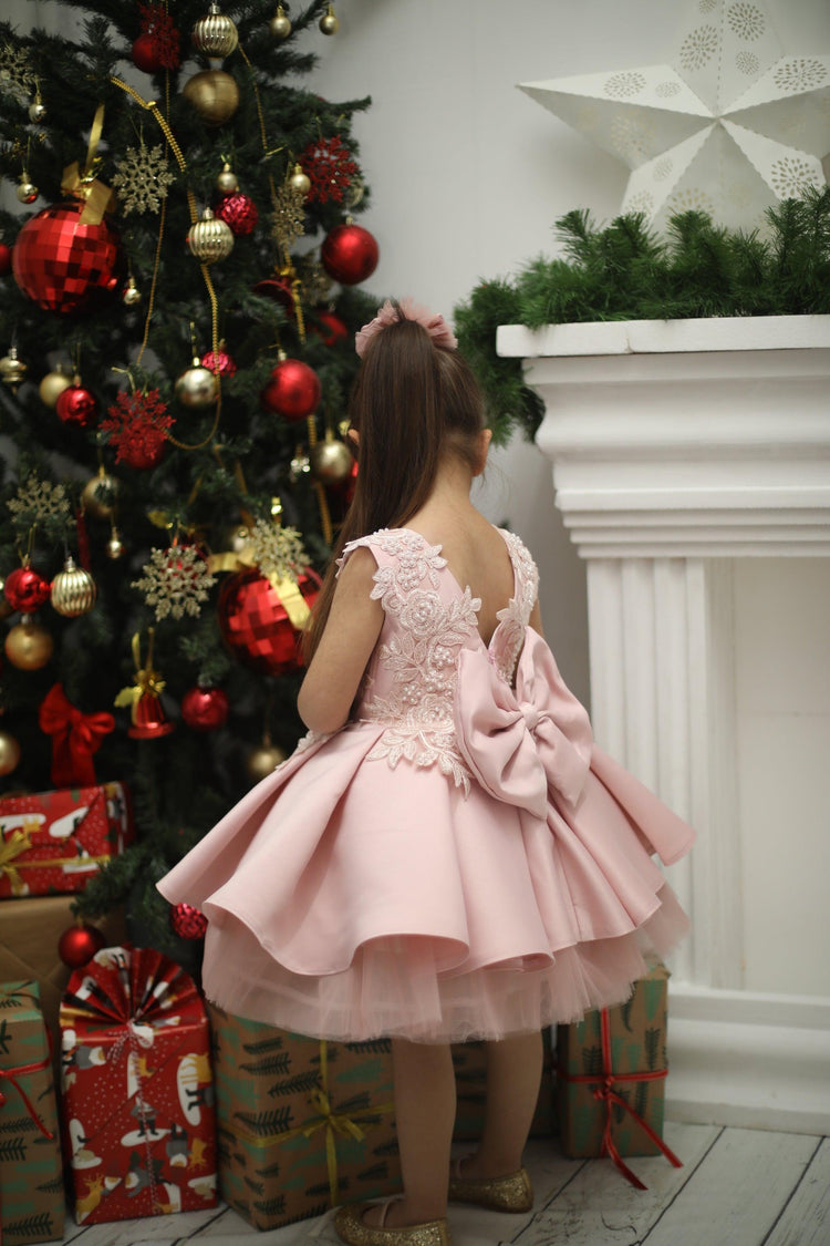 Bonita Blush short Dress