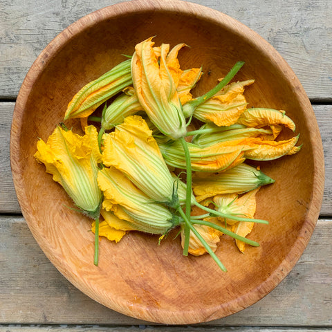 Courgette flowers — the kids love eating these for lunch