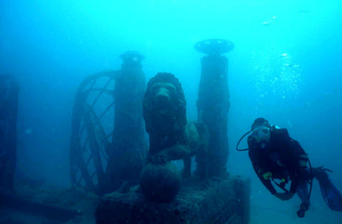 Diver on the Neptune Memorial Reef