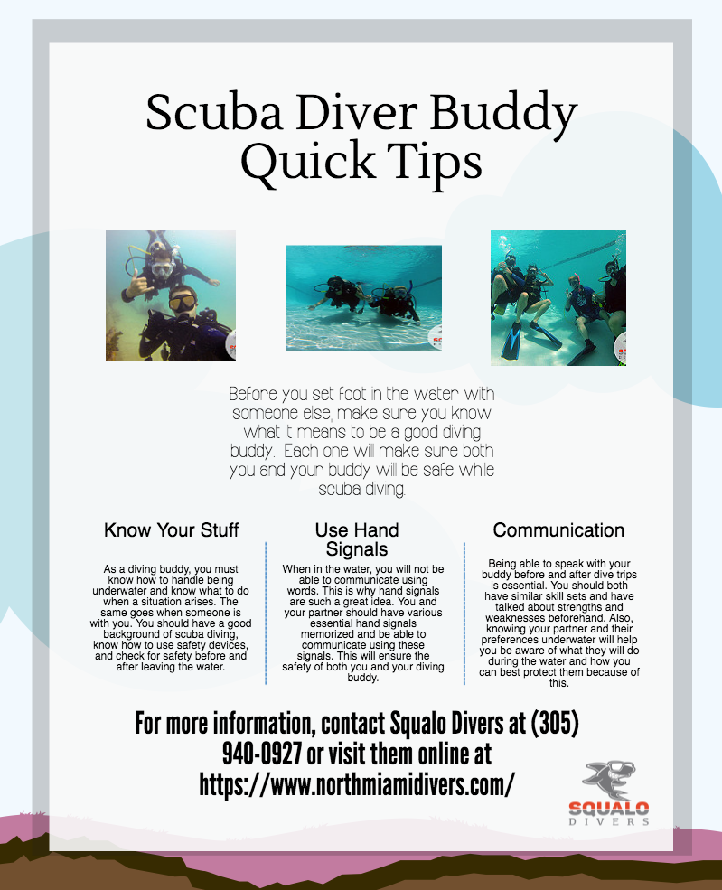 Scuba Diver Buddy Quick Tips