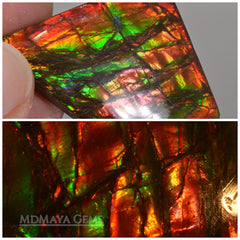 Big rainbow excellent colors Ammolite Stone 36.26 ct from Canada. This Gemstone displays iridiscent colors (green and red).