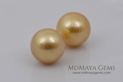 Golden South Sea Pearls Pair 11 mm