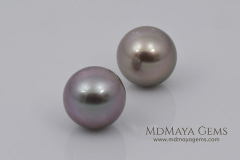 Tahitian Pearl