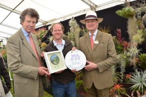 Andy's Air Plants Best in show RHS Malvern 2018
