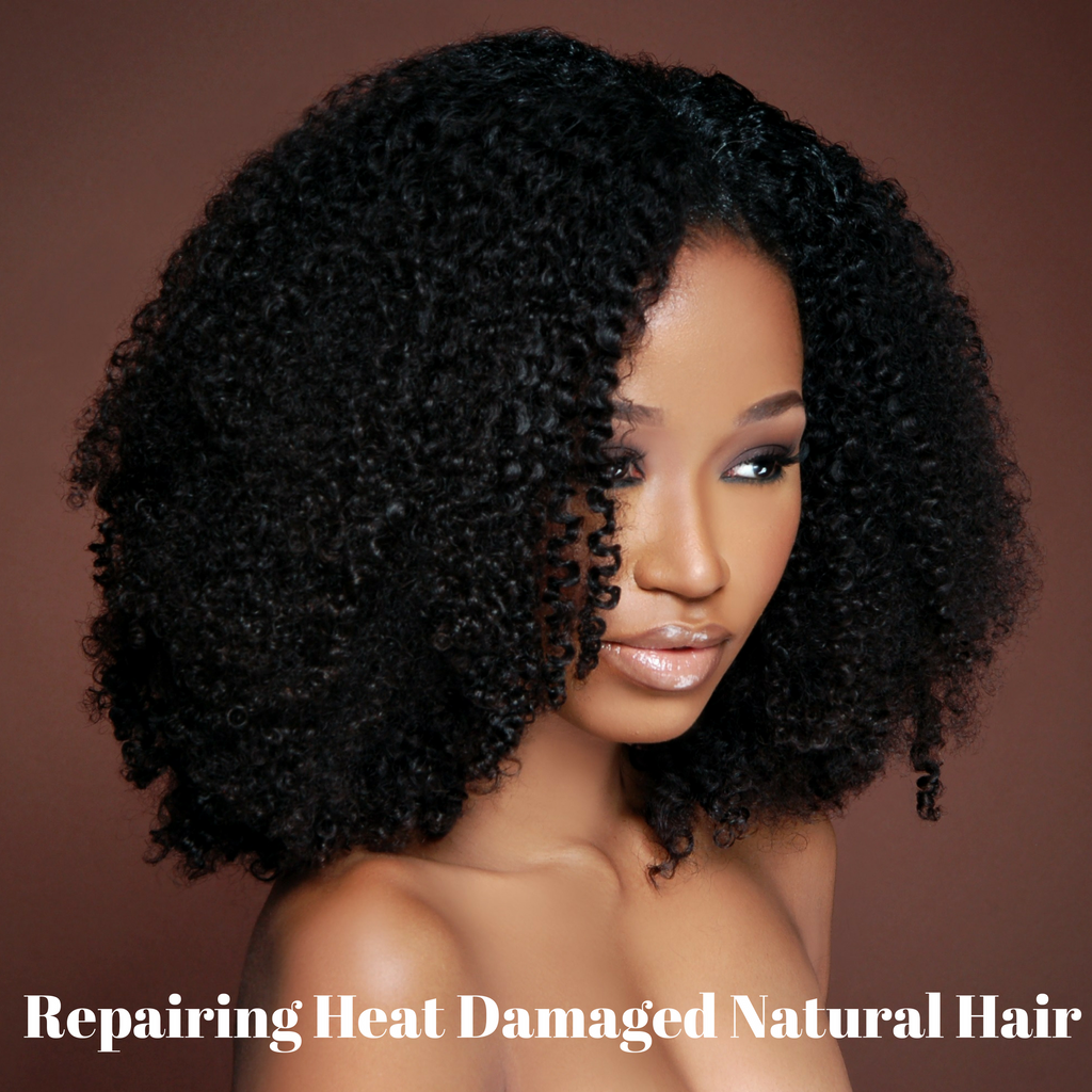 REPAIRING HEAT DAMAGED NATURAL HAIR Beauty Empire