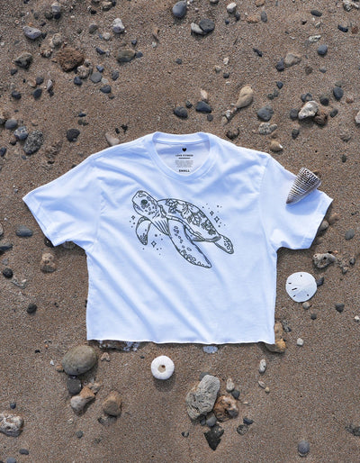 Crimson tavernorlando keep on swimming turtle crop tee