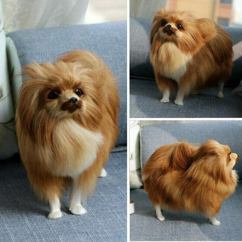 pomeranian dog doll