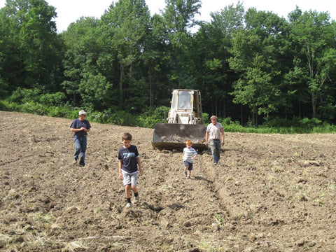 picking rocks in the spring