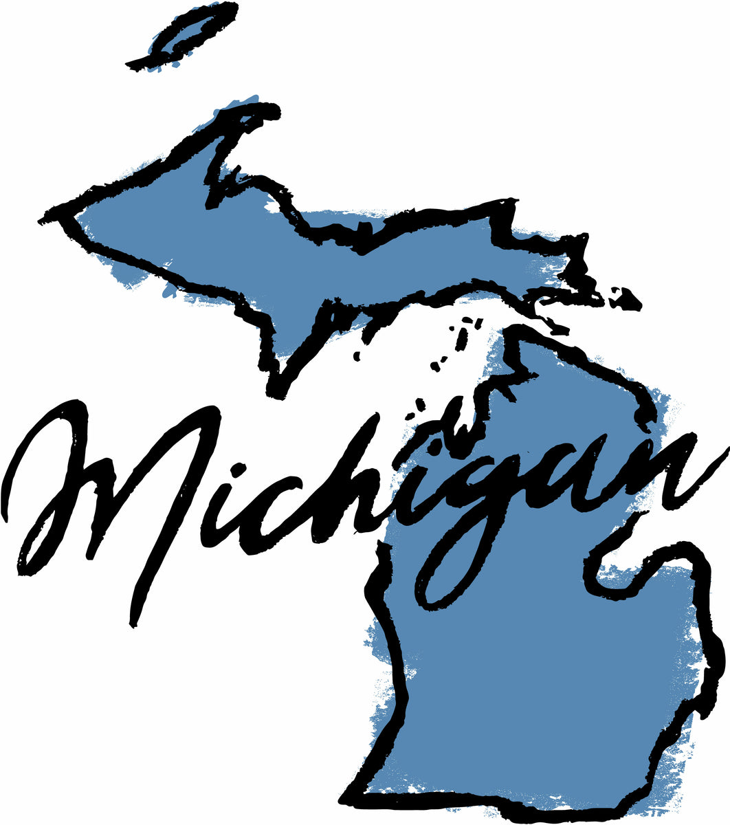 Michigan Good Standing Certificate StartABusiness com