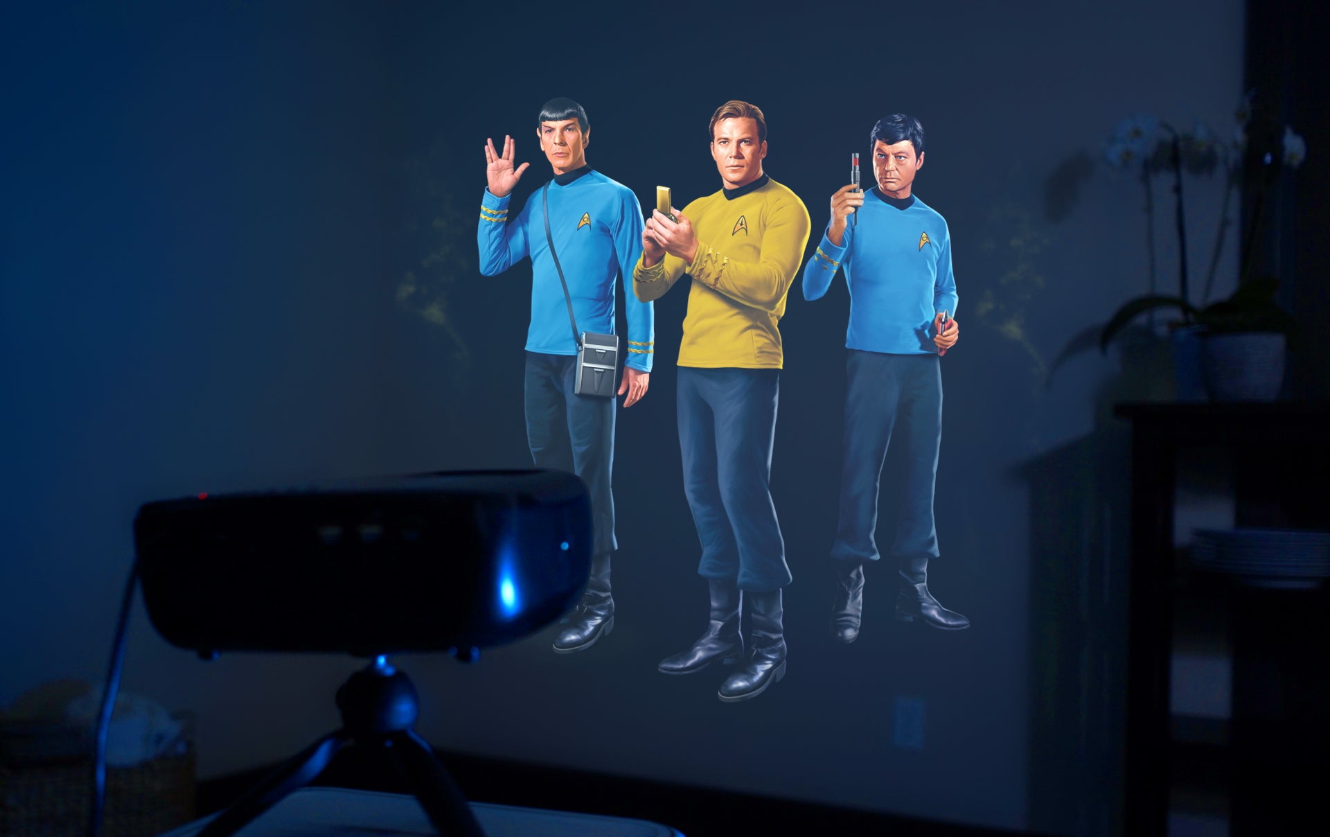 Kirk, Bones, and Spock are on an away mission to your living room wall