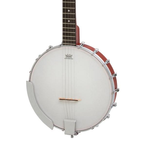 epiphone resonator banjo