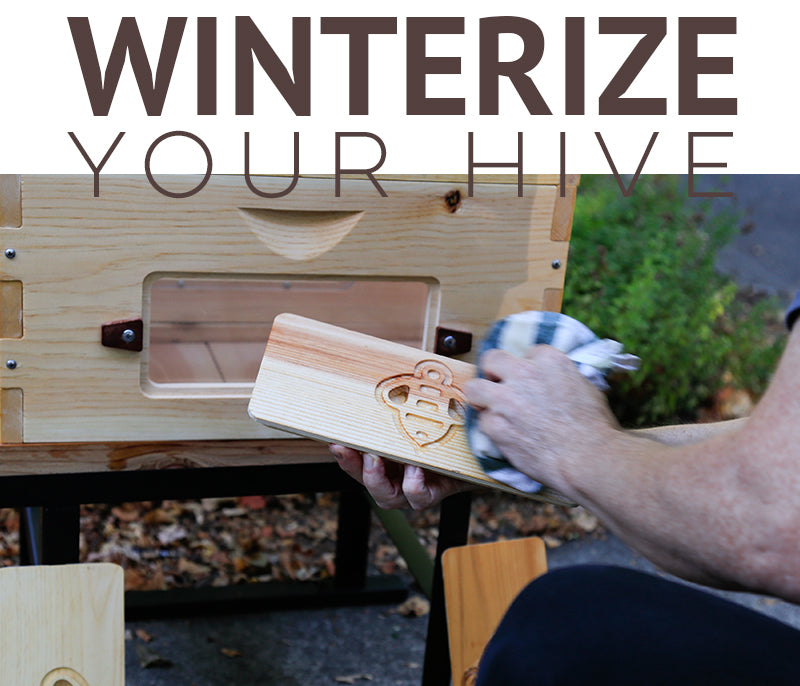 Winterize your hive