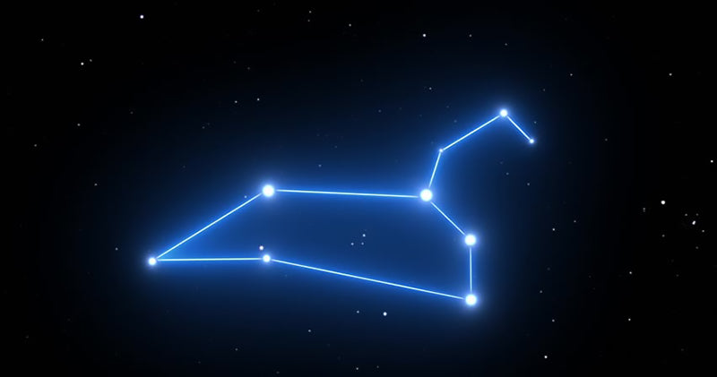 Constellation Du Lion