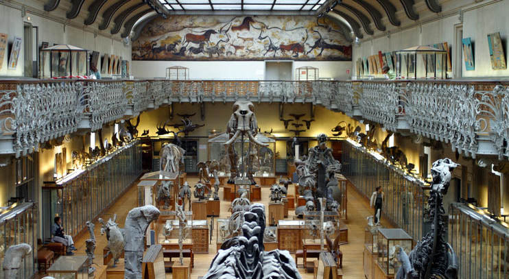 musée histoire naturelle paris