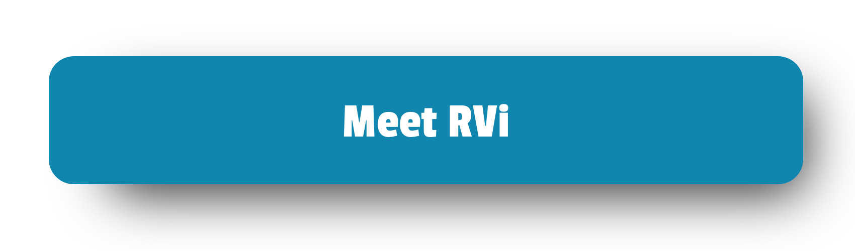 RVi - Flat Towing and RV Accessories 