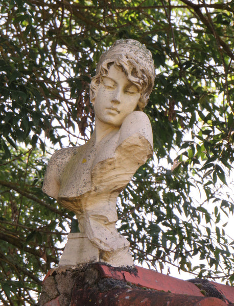 Grace . Large cold cast Marble Bust, result of being outdoors. Verdigris