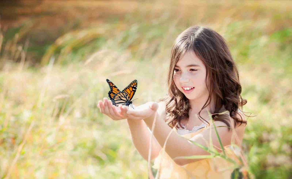 Papillon Monarque et enfant - Rêve de Papillon