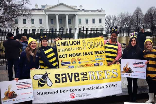 Protestation contre les pesticides tueurs de monarques et d'abeilles - Rêve de Papillon