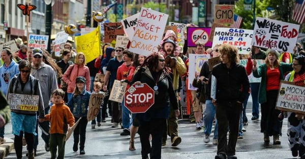 Protestation pour sauver le papillon monarque - Rêve de Papillon