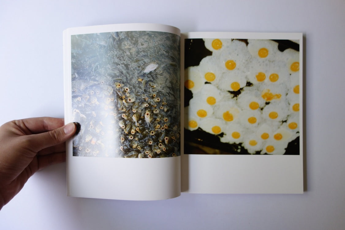 Utatane photobook by Rinko Kawauchi SSK Press Blog Feature