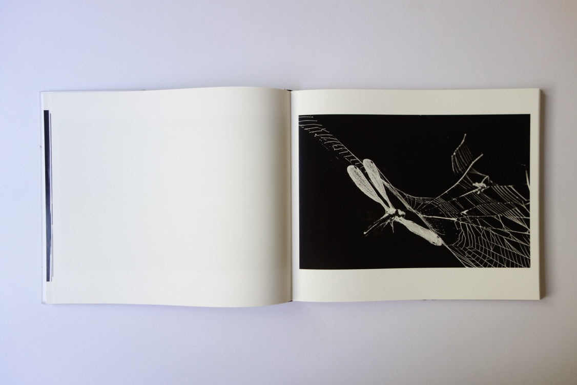 Minutes to Midnight photobook by Trent Parke SSK Press Blog Feature