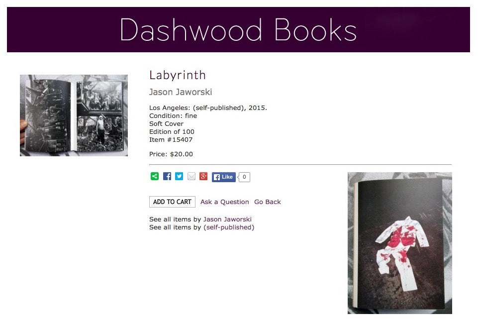 Jason Jaworski Labyrinth Photobook Zine Dashwood Books