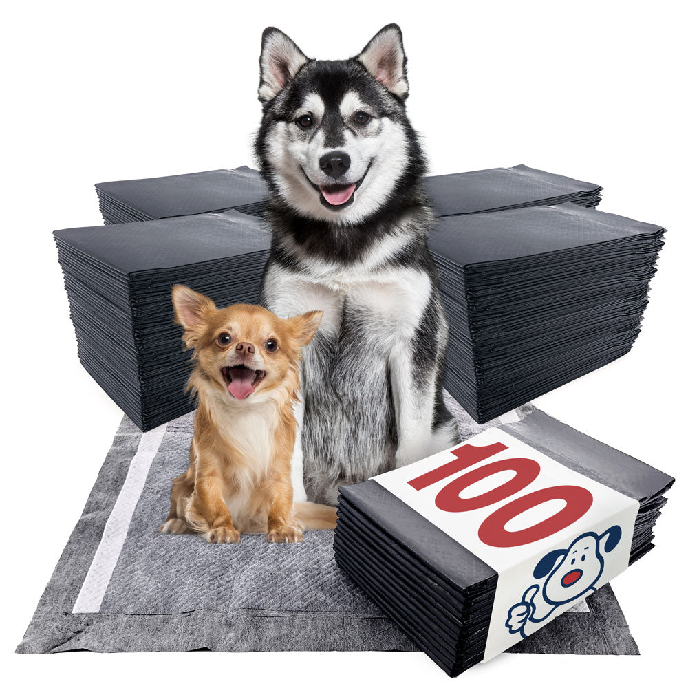 Voorwaarden Begrafenis Middelen ValuePad Plus Carbon Puppy Pads, XXL Gigantic 28x44 Inch, 100 Count reviews  | Value Pet Supplies
