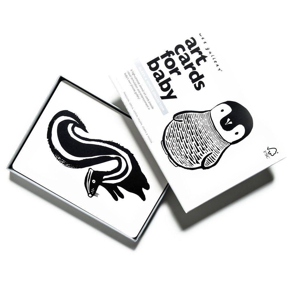 Wee Gallery Art Cards for Baby Black and White Collection | Smart Art