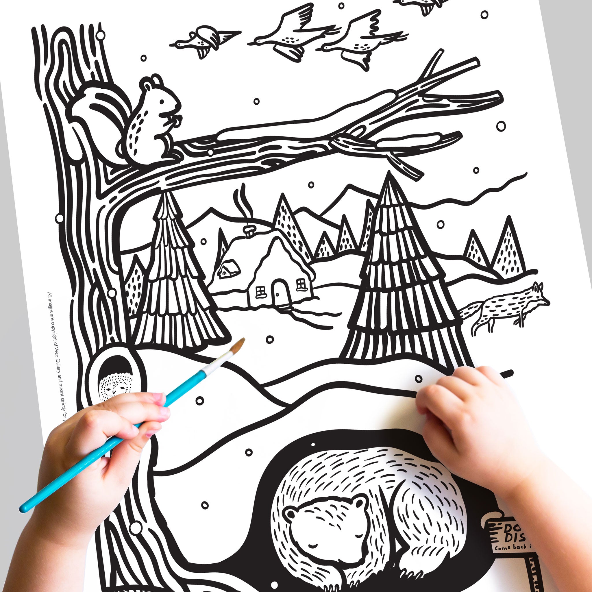 coloring pages of hibernating animals