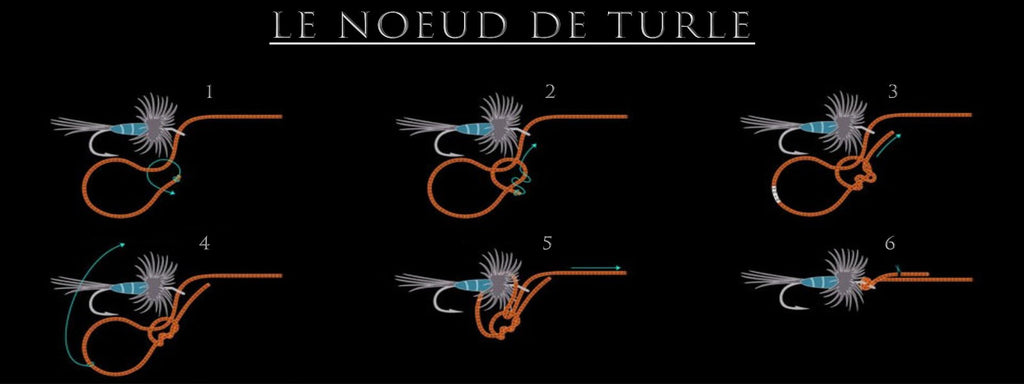 Nœud de Turle