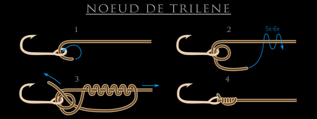 Le Nœud de Trilène