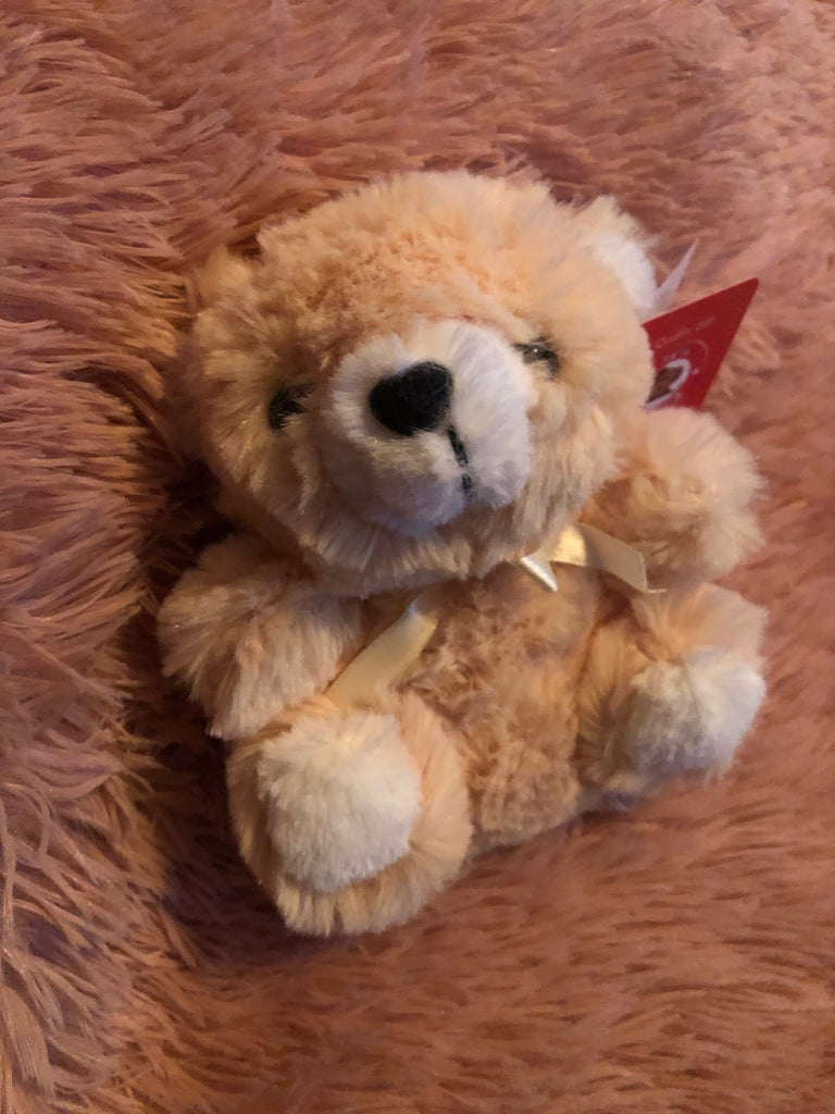fluffy teddy