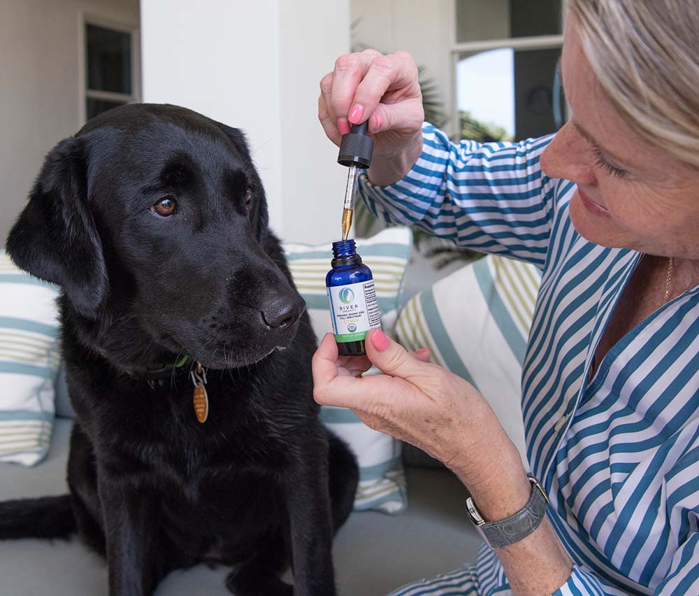 how many mg cbd should i give my nervous dog