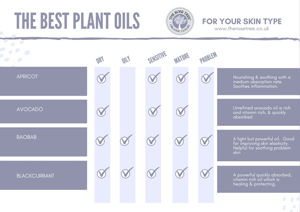 The Best Plant Oils for Skincare