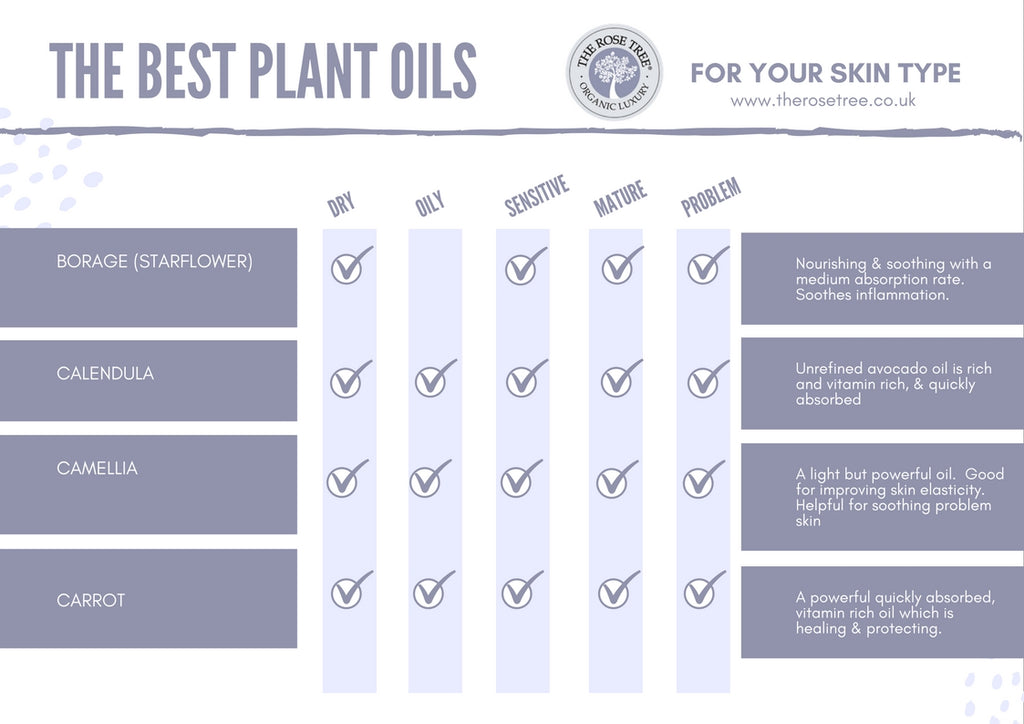 The Best Plant Oils for Skincare