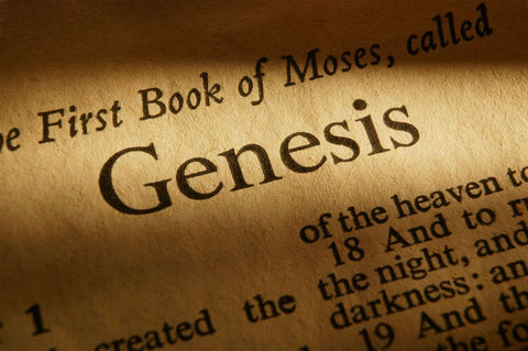 Science Shepherd Christian Homeschool Science Curriculum book of Genesis title page