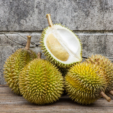 buy durian fruit uk