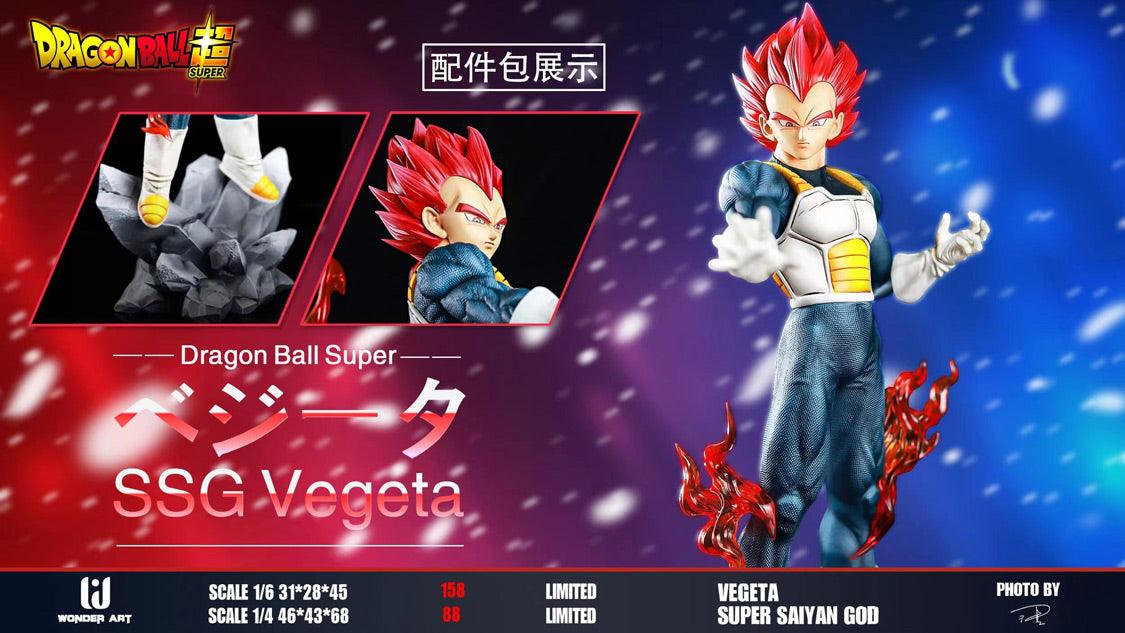 vegeta super saiyan god