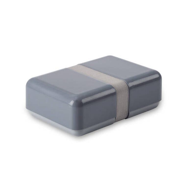 vochtigheid Verlichting Bandiet Blokker basic lunch box Gray – TOKOPOINT.COM