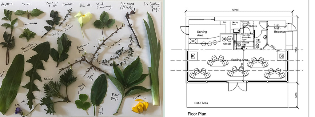 Wild Scottish botanicals