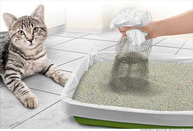 Peeing outside litter box