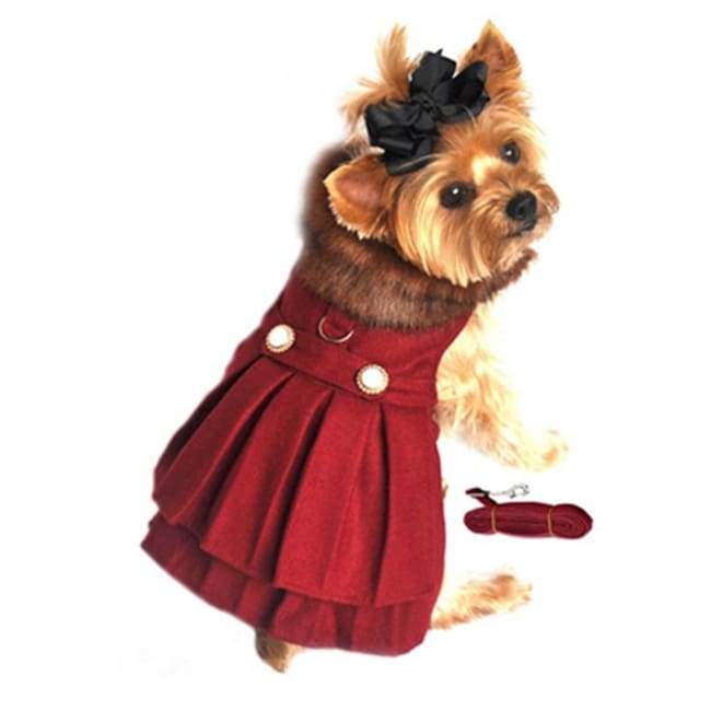 a dog with a burgundy coat means