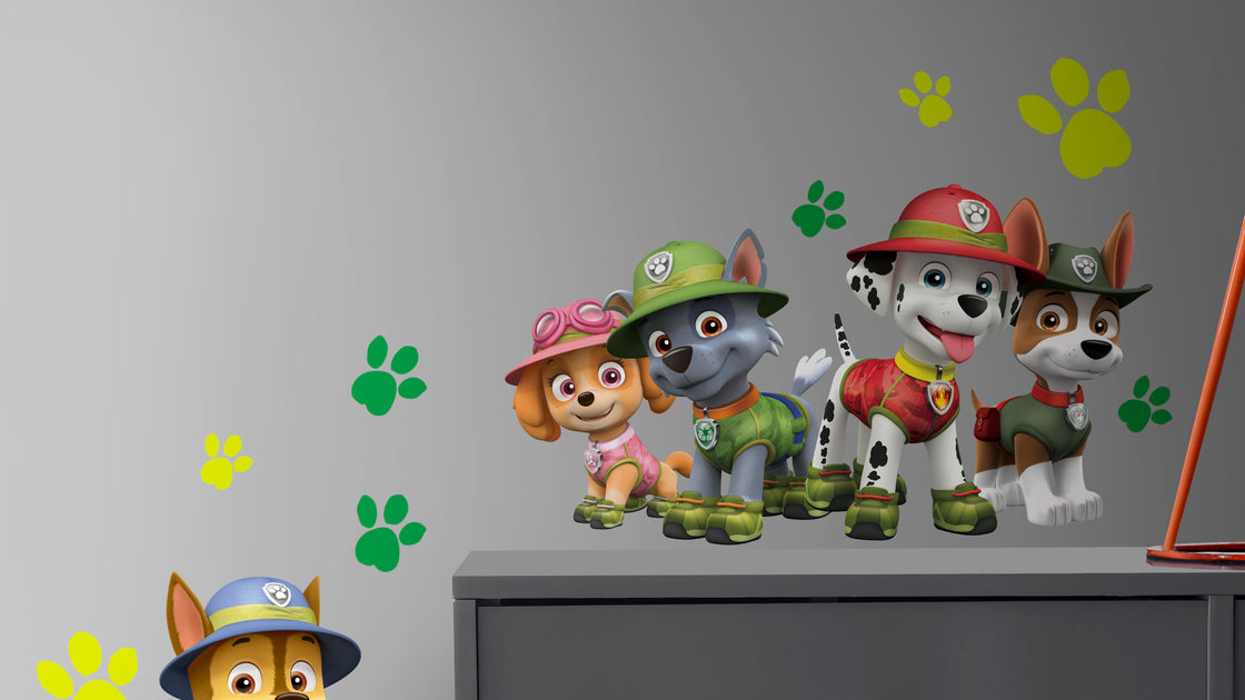 our Paw Patrol Wall – RoomMates