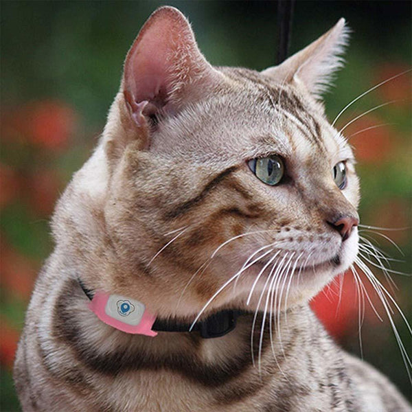 best cat tracking device