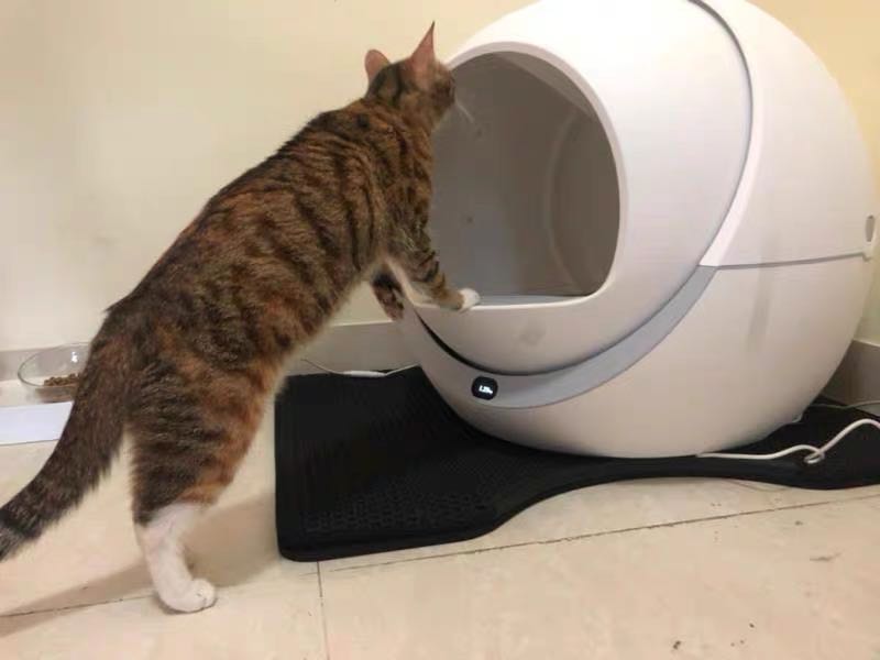 Self Cleaning Litter Box For Multiple Cats and Large Cats (30+ Images)