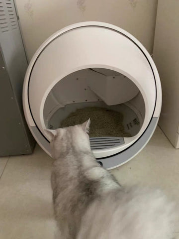 Self Cleaning Litter Box For Multiple Cats and Large Cats (30+ Images)