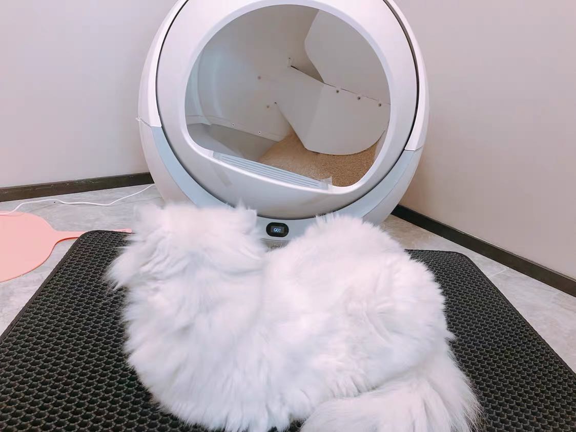 Self Cleaning Litter Box For Multiple Cats and Large Cats