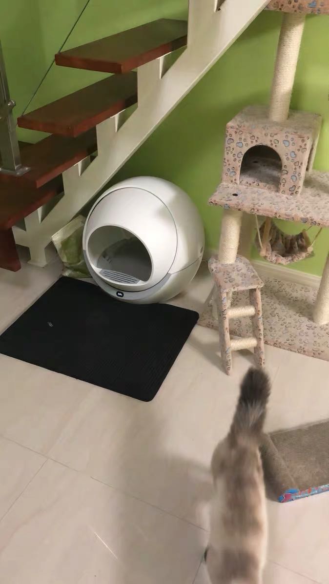 Self Cleaning Litter Box For Multiple Cats and Large Cats