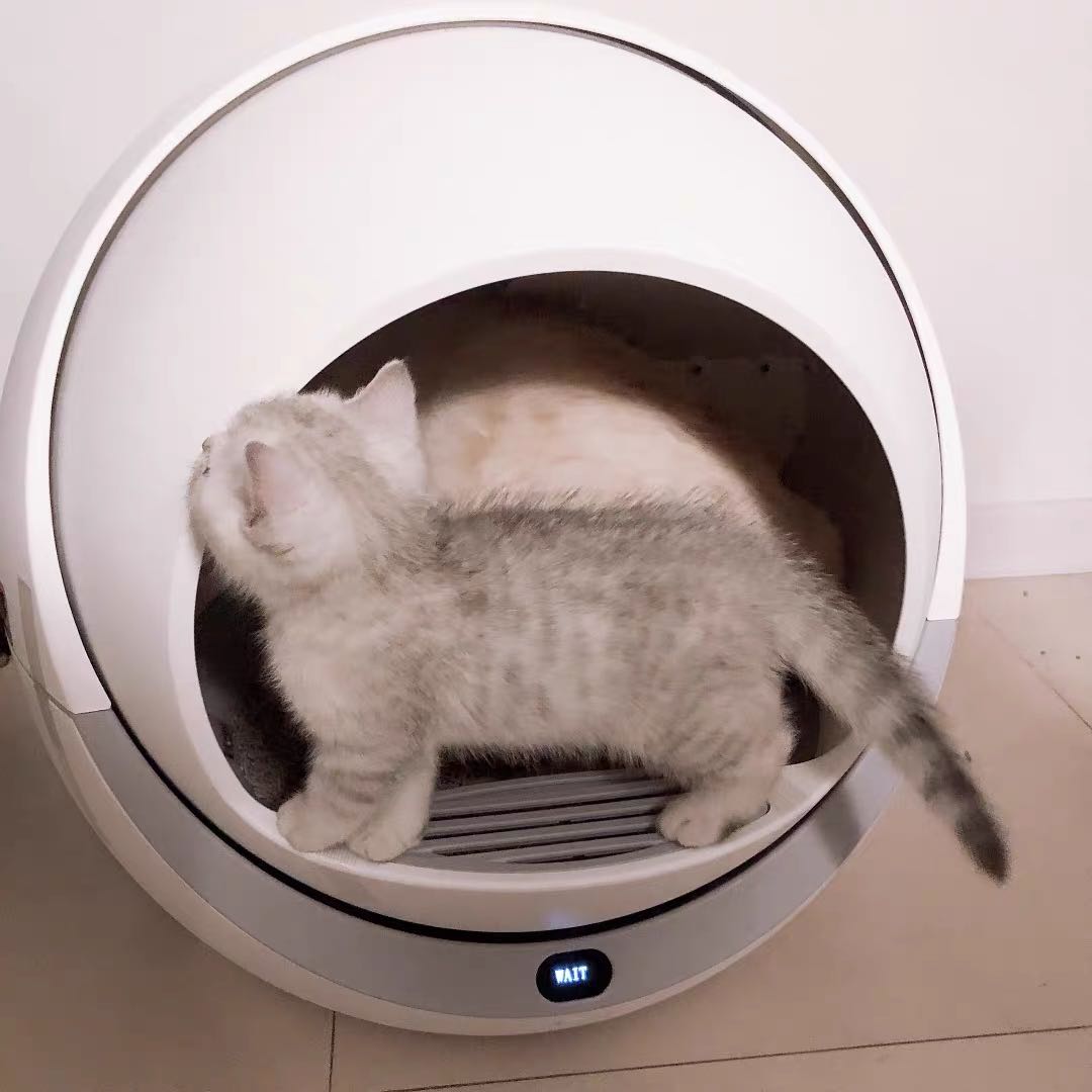 Self Cleaning Litter Box For Multiple Cats and Large Cats