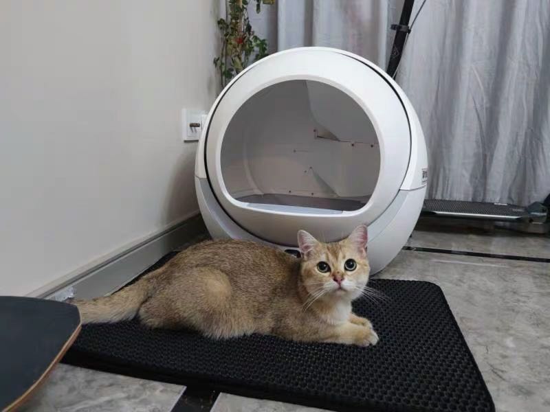 Self Cleaning Litter Box For Multiple Cats and Large Cats